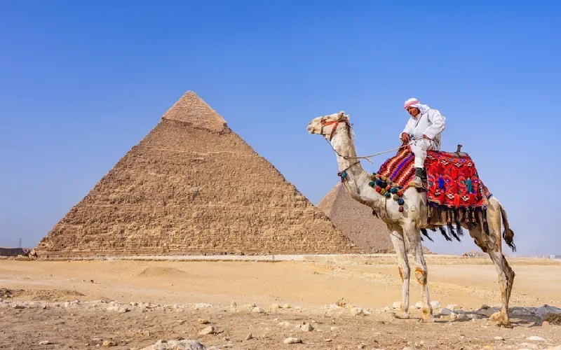 Pyramides De Gizeh Et Musée Égyptien